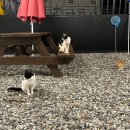 NO.9 넘버나인 펜션 이미지