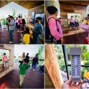 더정글 이미지