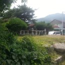 병산리 돌거북상 이미지