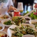 나드리 애견 이미지