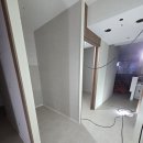 흰토끼의원