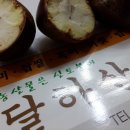키다리안경원