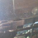 셀세모 전주 팔복점 이미지