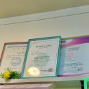 사당역 놀거리 서울 실내 이색 데이트 팅거의 마법정원 풀멍테라피