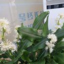 태양부동산공인중개사사무소 이미지