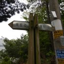 백토한식부페 Daum카페
