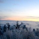 대둔산목장 이미지