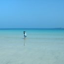 아동미술지도사 자격과정 이미지