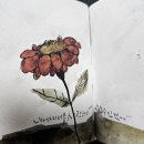 수묵캘리그래피 이미지