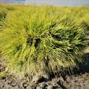 다복솔농장 이미지