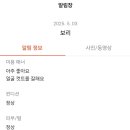 멍냥살롱 이미지