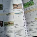 매직트리잉글리쉬