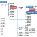 4. 세종가계도 이미지