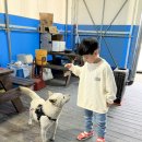 88실내바다낚시터 이미지