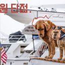 우다다 유치원 이미지