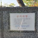 을숙도 리틀야구장 이미지