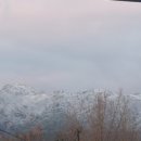 푸른 꿈나무의 집 이미지