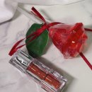 피그피치 립 발색 04 Fig Peach 티르티르 틴트 웜톤 추천템 솔직 후기