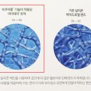 마이데이