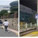 김해시청 인근 보행자우선도로 이미지