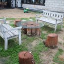 숲커피숍 이미지