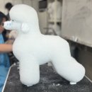 탑 애견 이미지