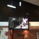 별빛동물병원 이미지