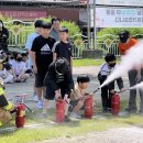 쌍림초등학교 이미지