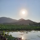 화 농장 이미지