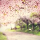 디자인몬스터 이미지