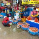 주문진 수산 이미지