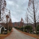 내기2리마을회관 | 🏕️✨ 세종 다온숲 글램핑장, 평일 저녁 바비큐부터 힐링 산책까지! 🥩🔥