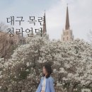 제일교회 입구 ~ 제일교회 뒤 | [대구] 목련 명소 청라언덕 대구 제일교회 포토존 위치