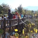 죽리초등학교(병설유치원) 이미지