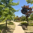 동탄 여울공원 축구장 이미지