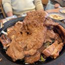 국화애견하우스 이미지