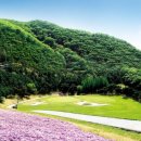 신원대로-4 이미지