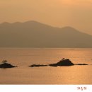 시아도