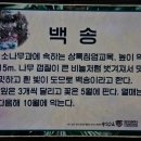 정연사
