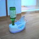알콜 Daum카페