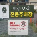 제주공항 근처 베이커리 카페 추천 제주모락 솔직 후기