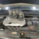 모든카프라자 이미지