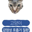 24시 코끼리동물병원 이미지