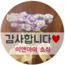 (주)미앤아이 이미지