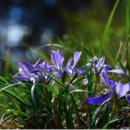 심사숙고 이미지