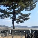 DMZ평화의길 평화쉼터 | 강화DMZ평화의길 후기｜참가비 1만원으로 즐긴 특별한 DMZ 트래킹 여행
