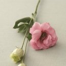 더봄한의원 이미지