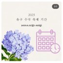가정1동 행정복지센터 삼거리 일원 | 유구 수국축제 이 글로 준비 끝 주차장 안내 총정리