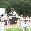 TIA태권도 이미지