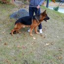 리드생활건강 이미지